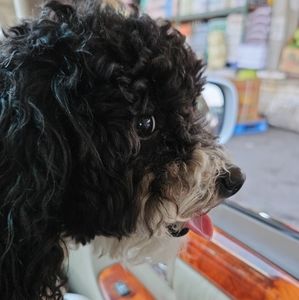 Meet your Posher, Sandra